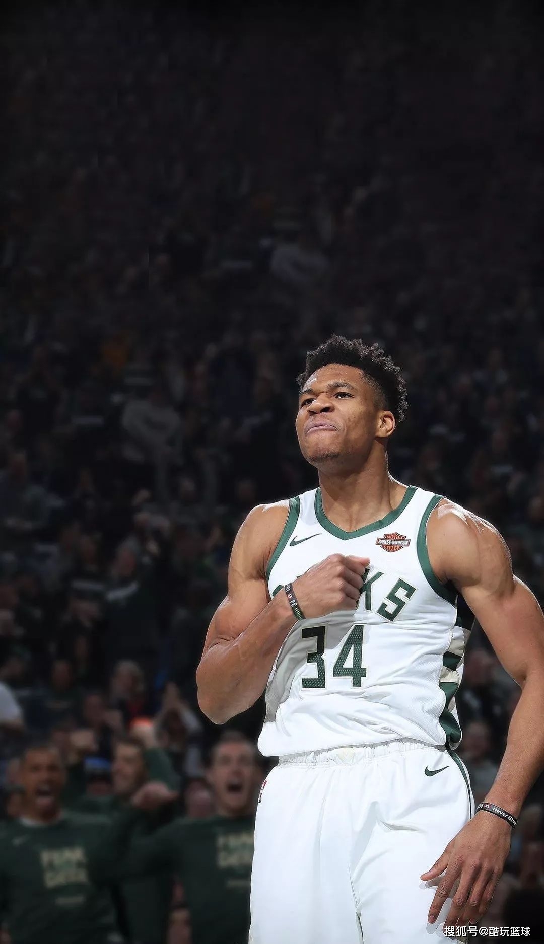 意甲前瞻：萨索洛两大得分手出场存疑，都灵变阵后结束连败（意甲前瞻：萨索洛双枪出战成疑，都灵换阵止连败）